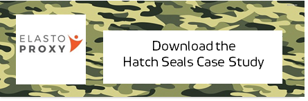 Hatch Seals Case Study